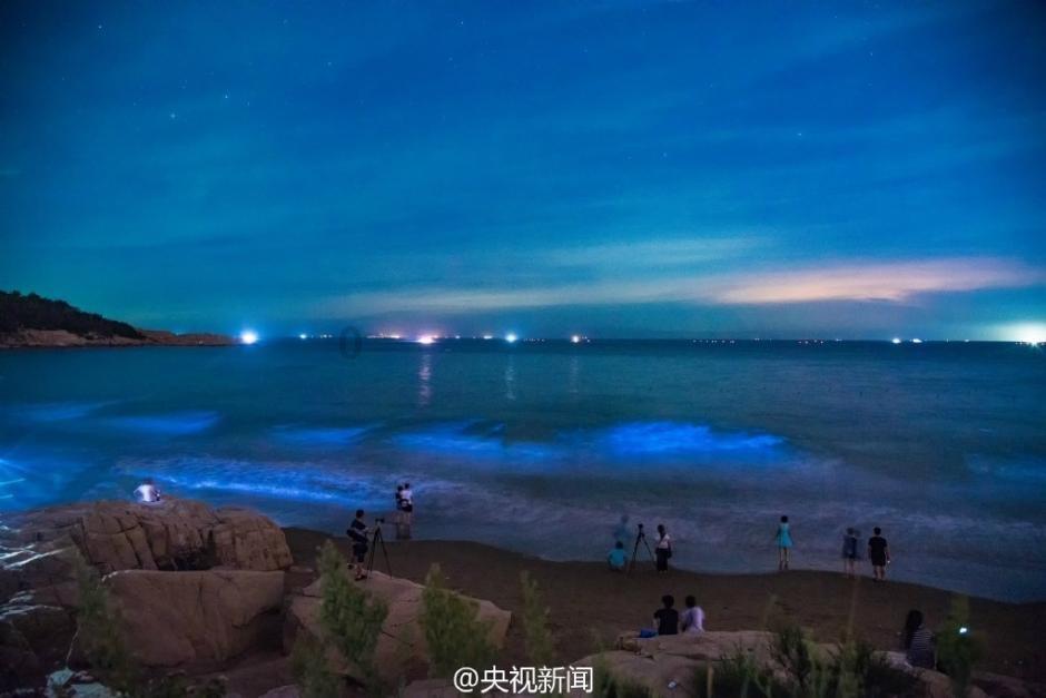 超萌荷花仙子