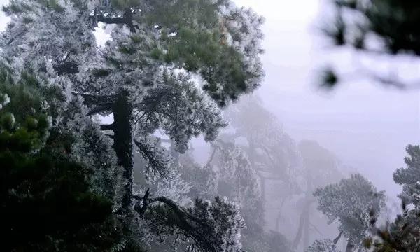 标致汽车找钥匙