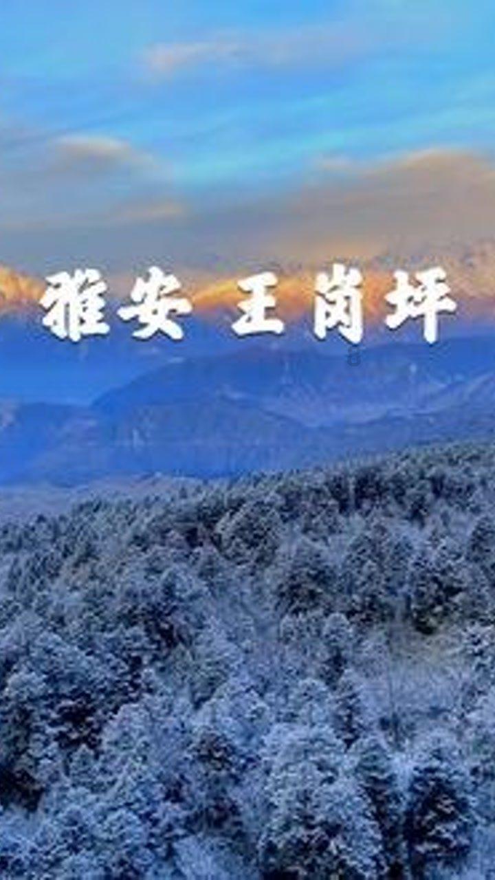 死神VS火影3.1