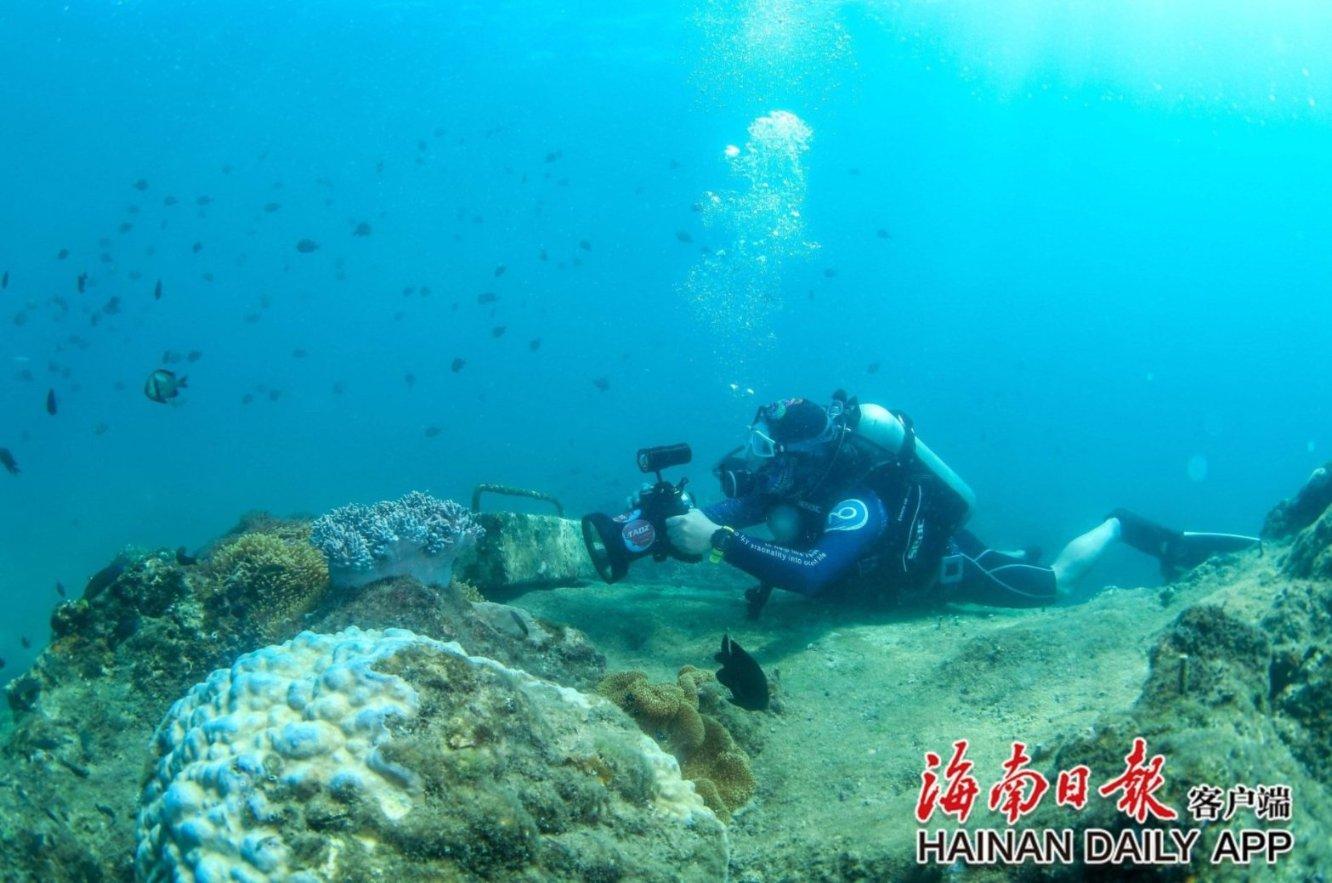 易币付链接游戏画面